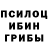 Псилоцибиновые грибы Psilocybine cubensis Ftuf Vfty