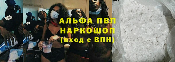 СК Алзамай